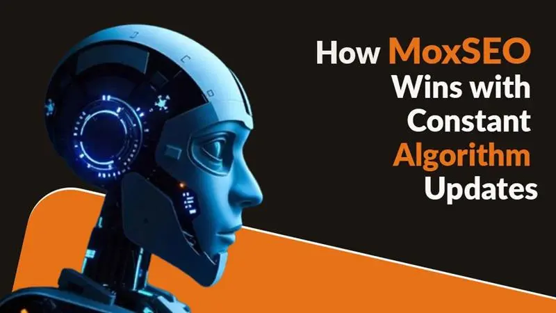 how moxseo wins algorithm updates