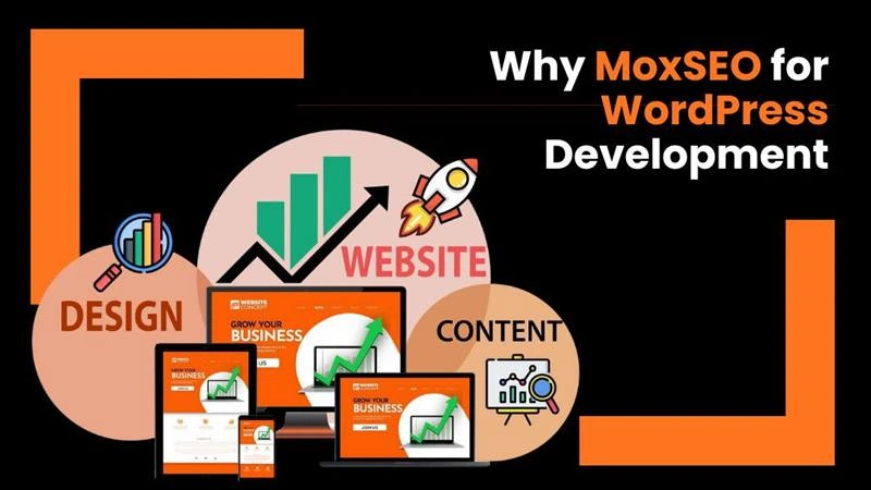 why moxseo for wordpress development